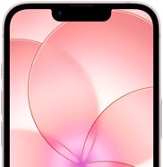 iPhone dix-sept-e, vue partielle de l’avant avec Ceramic Shield 2, rose pâle, affichant une image de fleur rose en fond d’écran